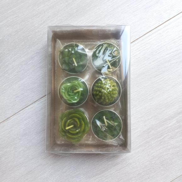 Scented Succulent Cactus Tealight Candles, 6pk NIP - Picture 7 of 13